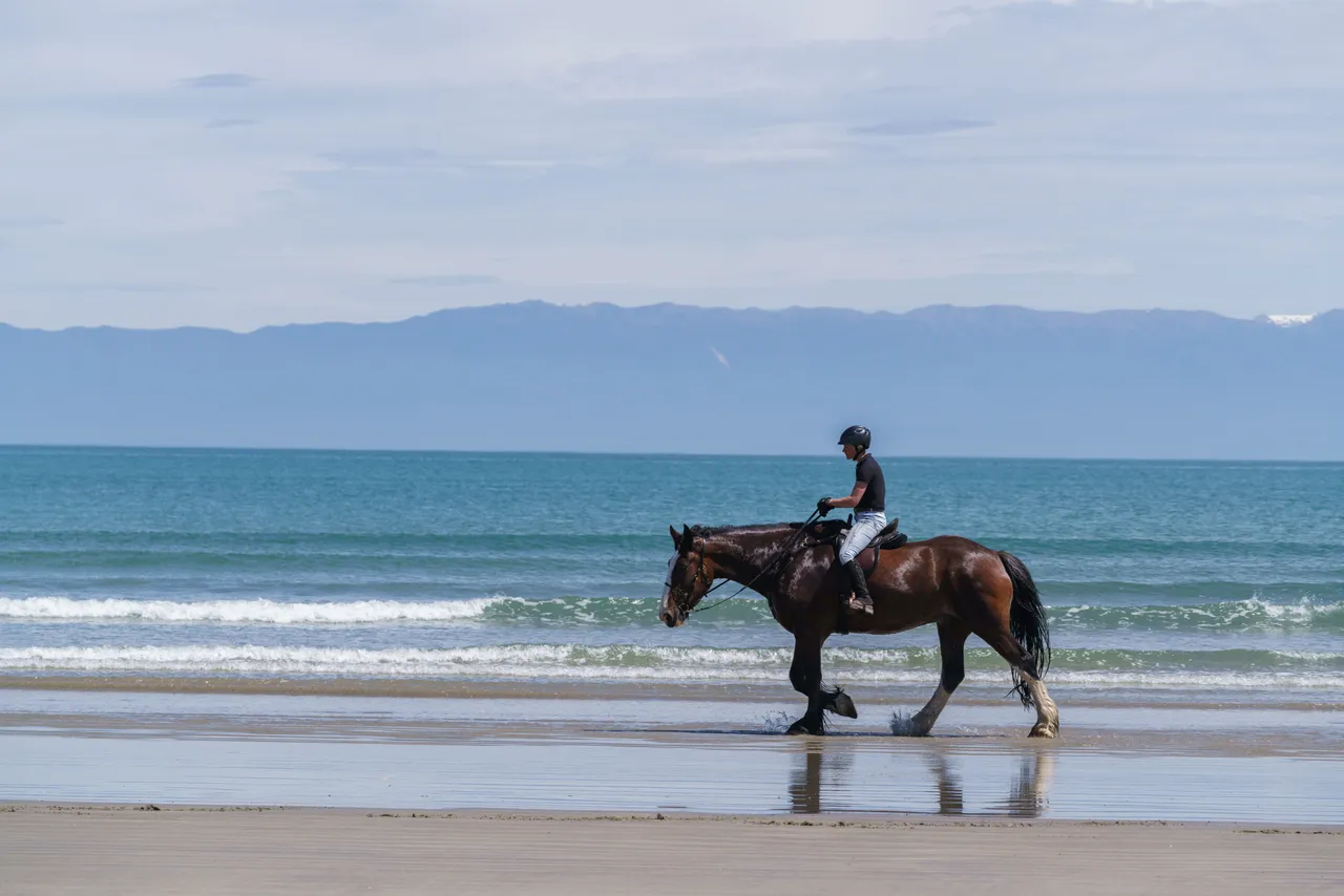 Horse Riding - Monkey Island Beach - Southland, New Zealand - Credit Videocopter (15)