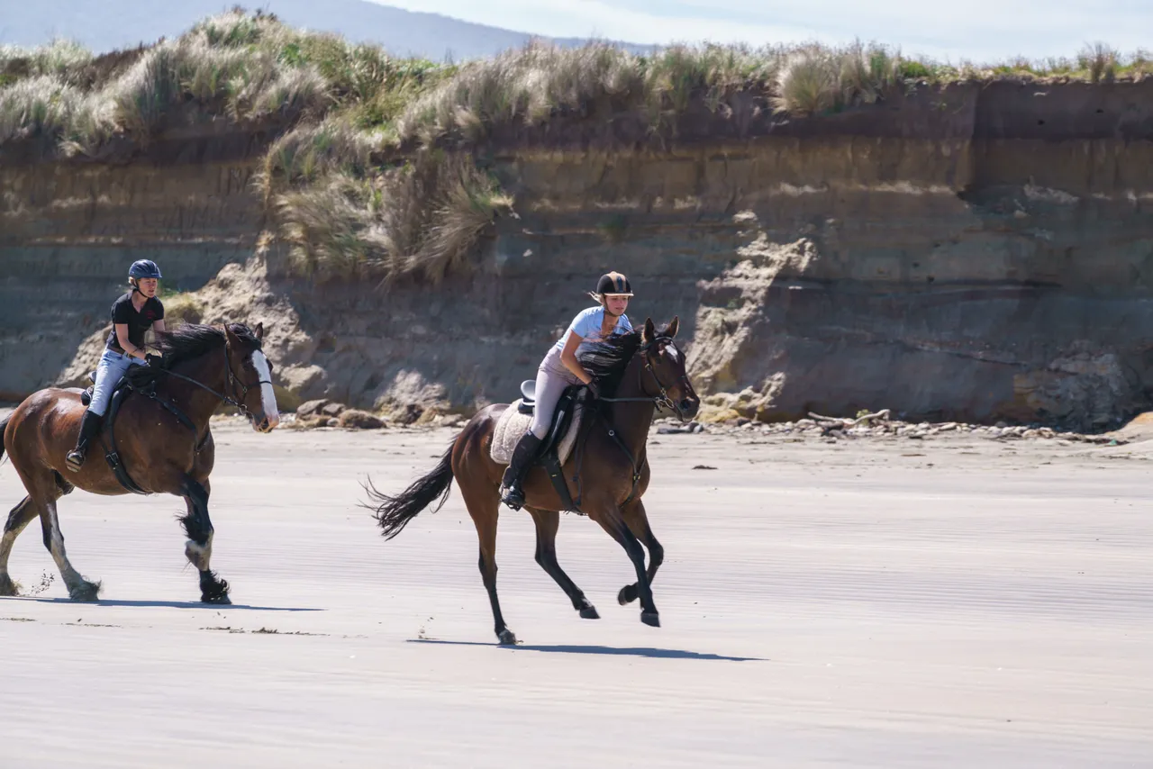 Horse Riding - Monkey Island Beach - Southland, New Zealand - Credit Videocopter (11)