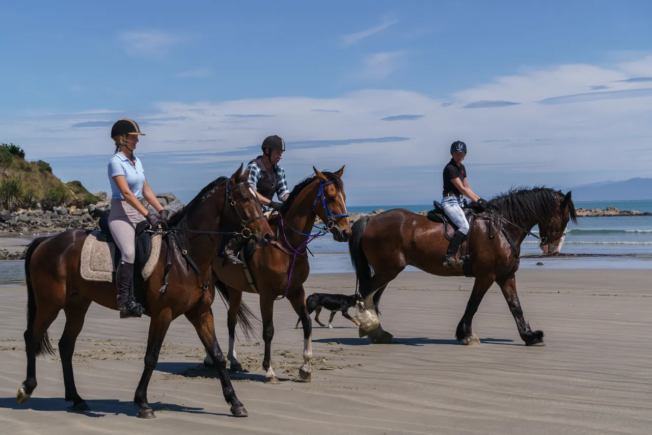Horse Riding - Monkey Island Beach - Southland, New Zealand - Credit Videocopter (12)