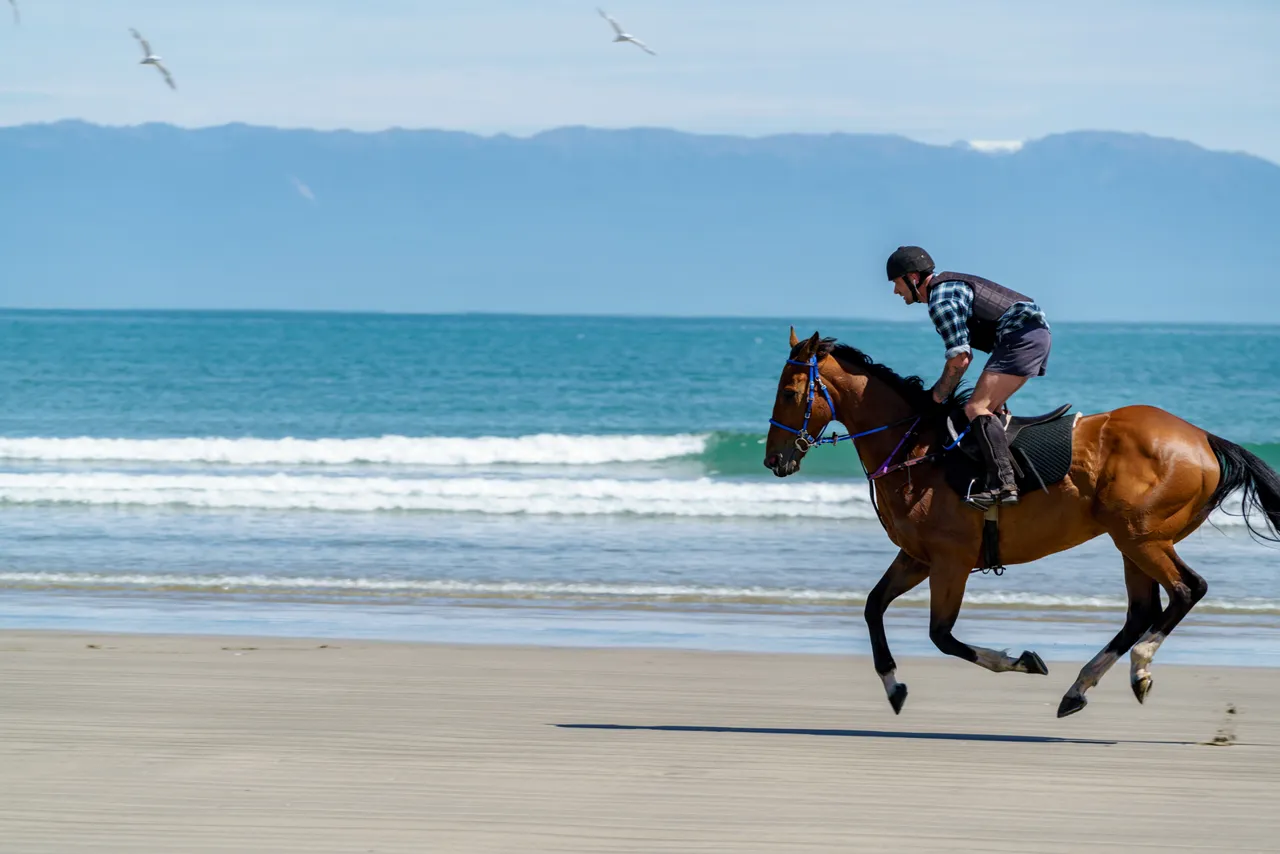 Horse Riding - Monkey Island Beach - Southland, New Zealand - Credit Videocopter (10)