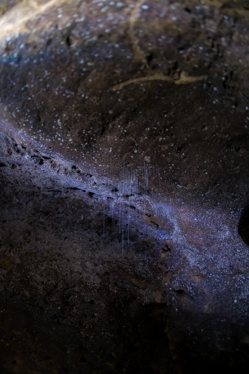 Clifden Caves - Southland, New Zealand - Credit Videocopter (6)
