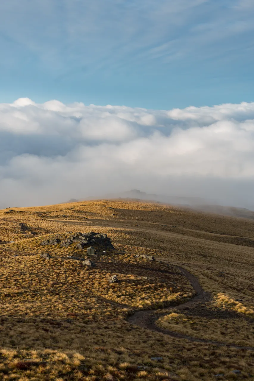 Welcome Rock Trails - Southland, New Zealand - Credit Videocopter (9)
