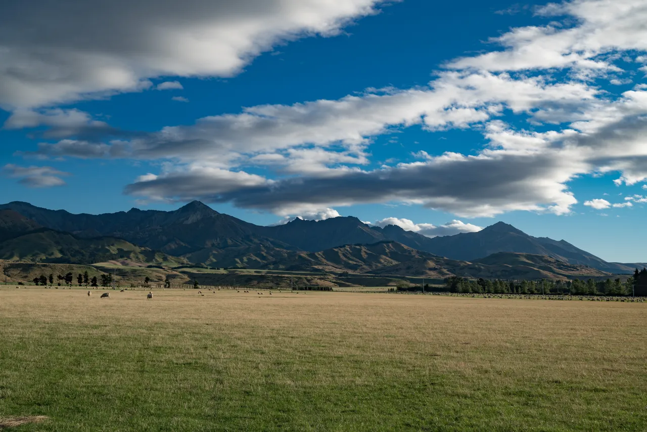 Farmland - Southland, New Zealand - Credit Videocopter (1)