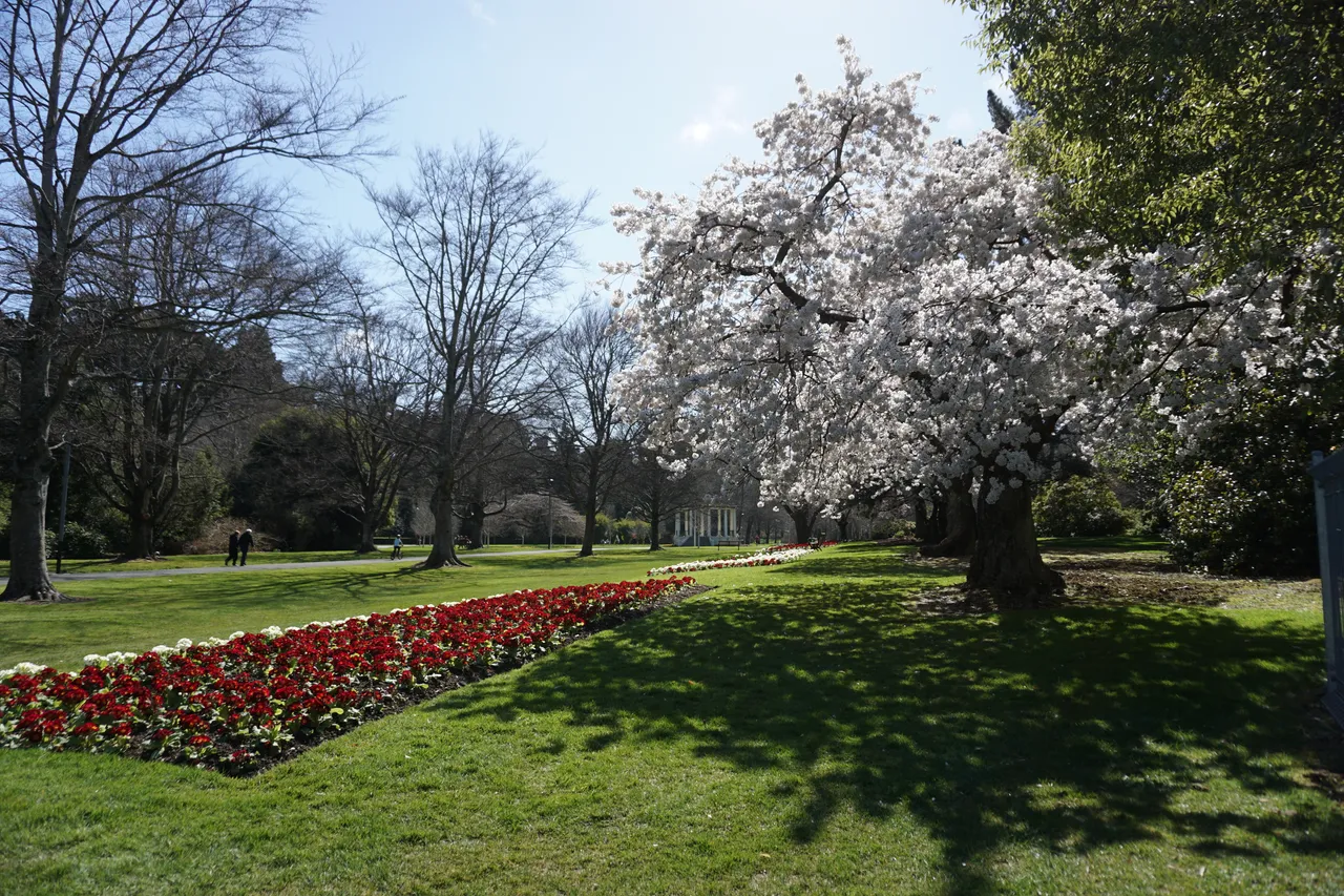 Queens Park - Southland, New Zealand - Credit Videocopter (9)