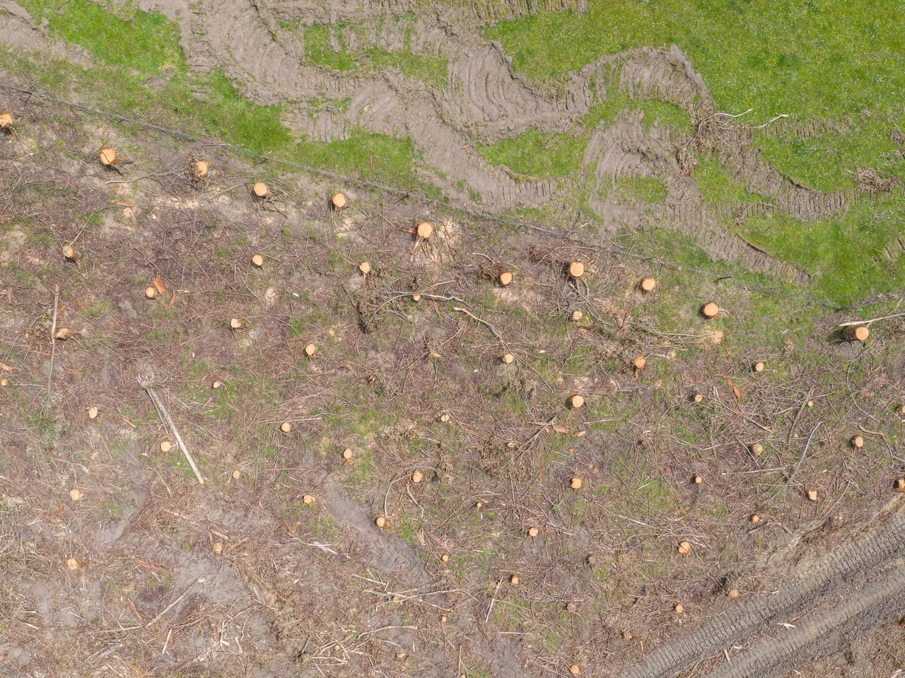Foresty Work - Southland, New Zealand - Credit Videocopter (20)