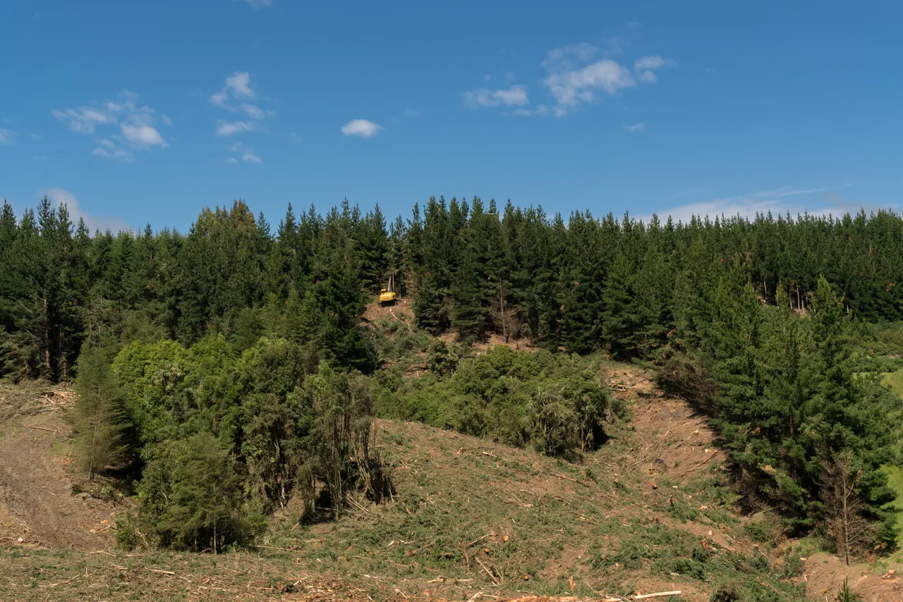 Foresty Work - Southland, New Zealand - Credit Videocopter (22)