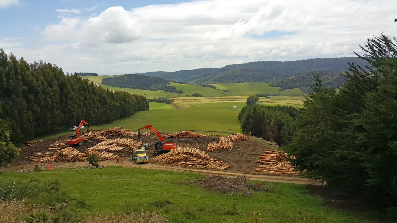 Foresty Work - Southland, New Zealand - Credit Videocopter (15)