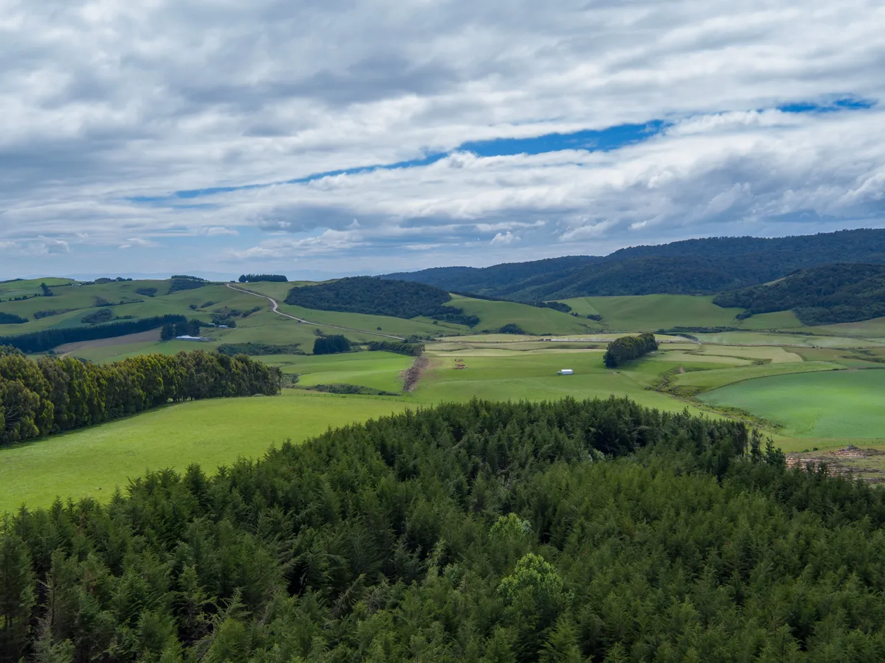 Foresty Work - Southland, New Zealand - Credit Videocopter (17)