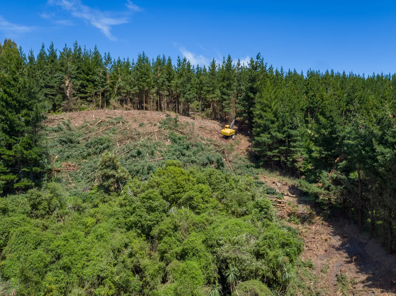Foresty Work - Southland, New Zealand - Credit Videocopter (11)