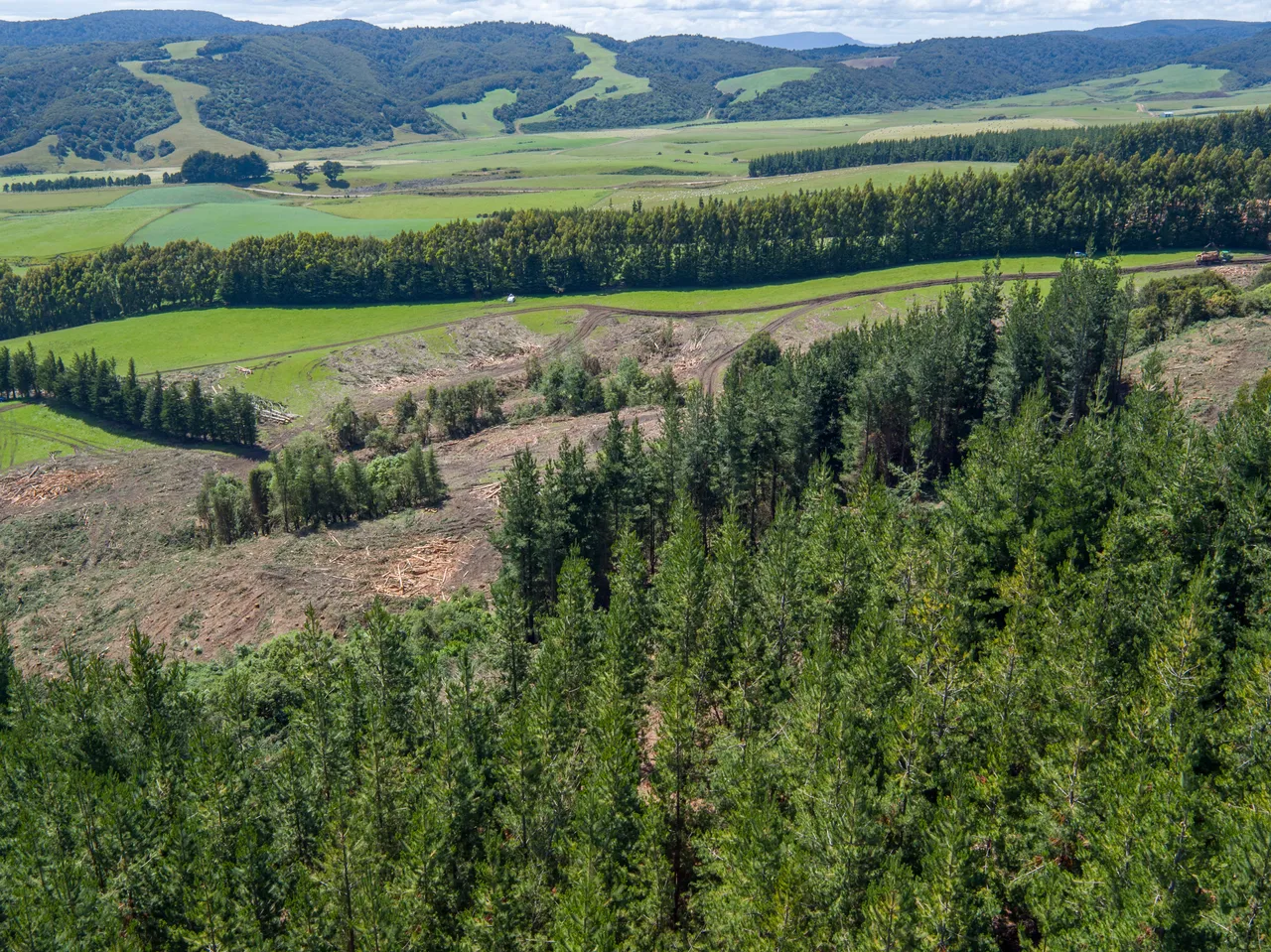 Foresty Work - Southland, New Zealand - Credit Videocopter (13)
