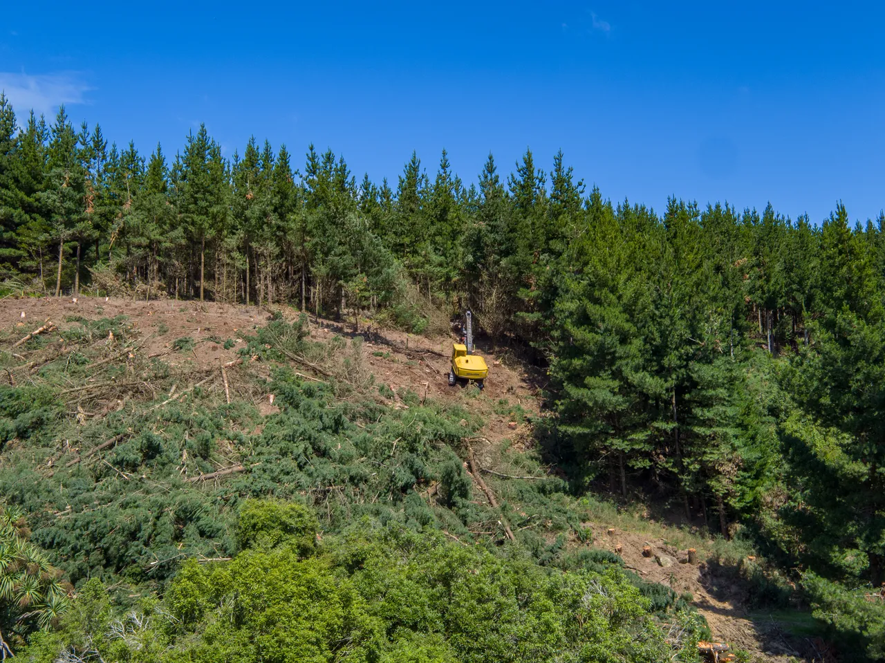 Foresty Work - Southland, New Zealand - Credit Videocopter (12)
