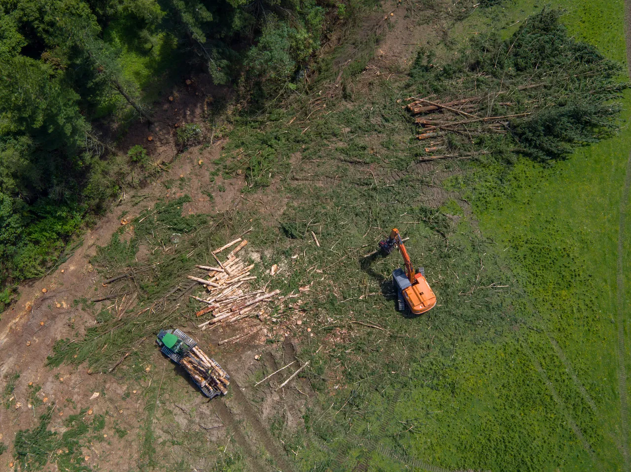 Foresty Work - Southland, New Zealand - Credit Videocopter (8)