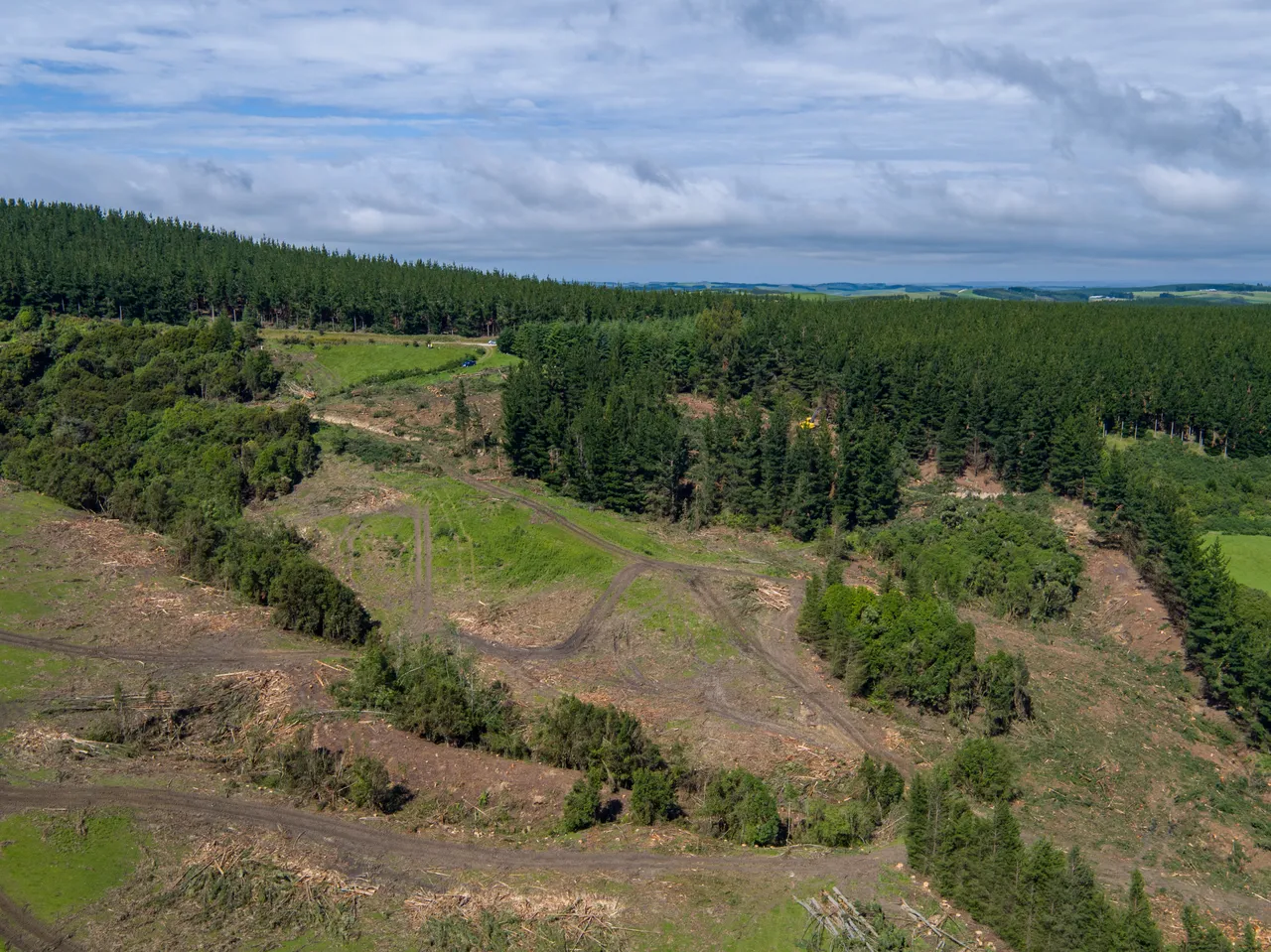 Foresty Work - Southland, New Zealand - Credit Videocopter (6)
