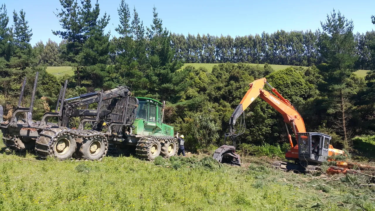 Foresty Work - Southland, New Zealand - Credit Videocopter (5)