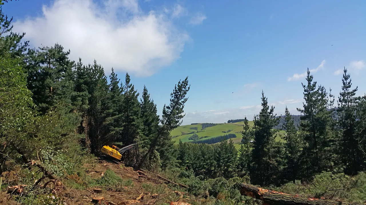 Foresty Work - Southland, New Zealand - Credit Videocopter (3)