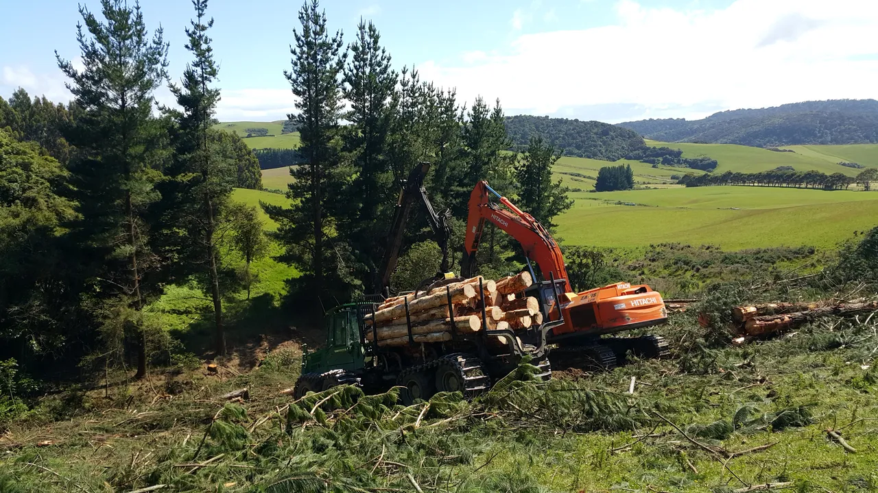 Foresty Work - Southland, New Zealand - Credit Videocopter (4)