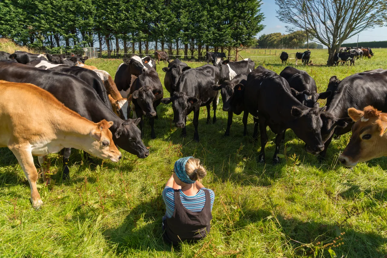 Dairy Farmer - Southland, New Zealand - Credit Videocopter (7)