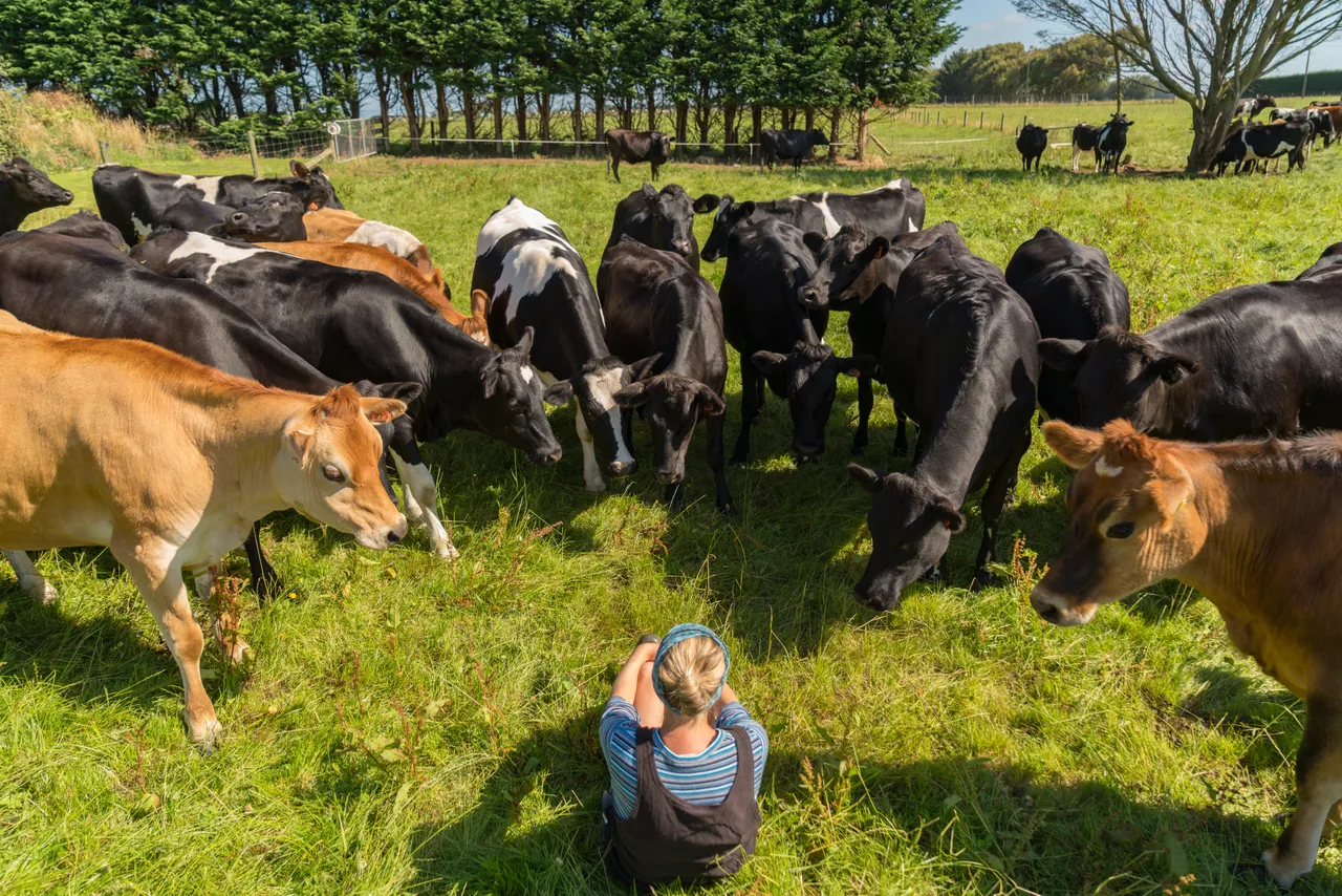 Dairy Farmer - Southland, New Zealand - Credit Videocopter (8)