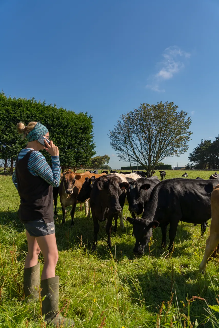 Dairy Farmer - Southland, New Zealand - Credit Videocopter (3)