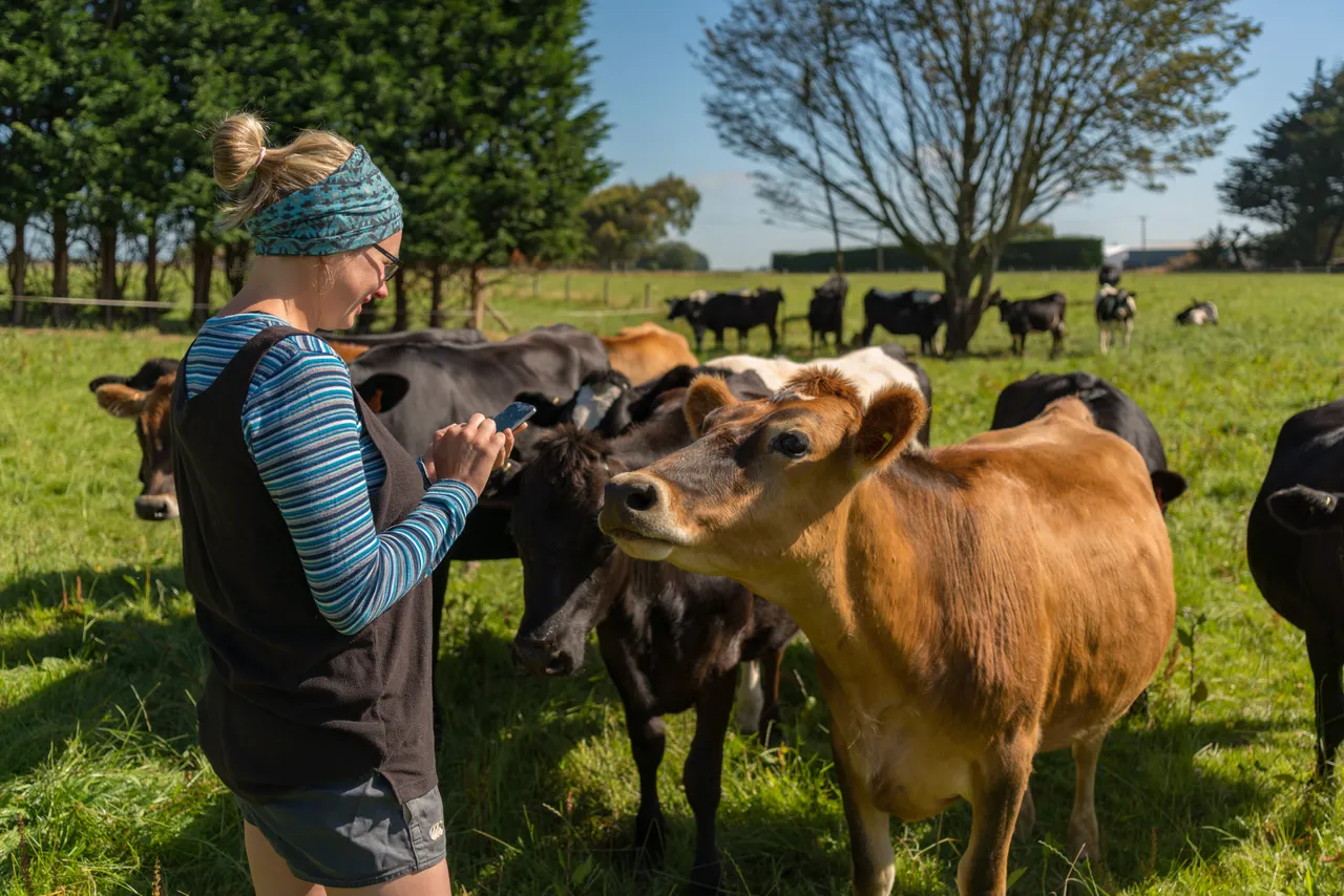 Dairy Farmer - Southland, New Zealand - Credit Videocopter (1)