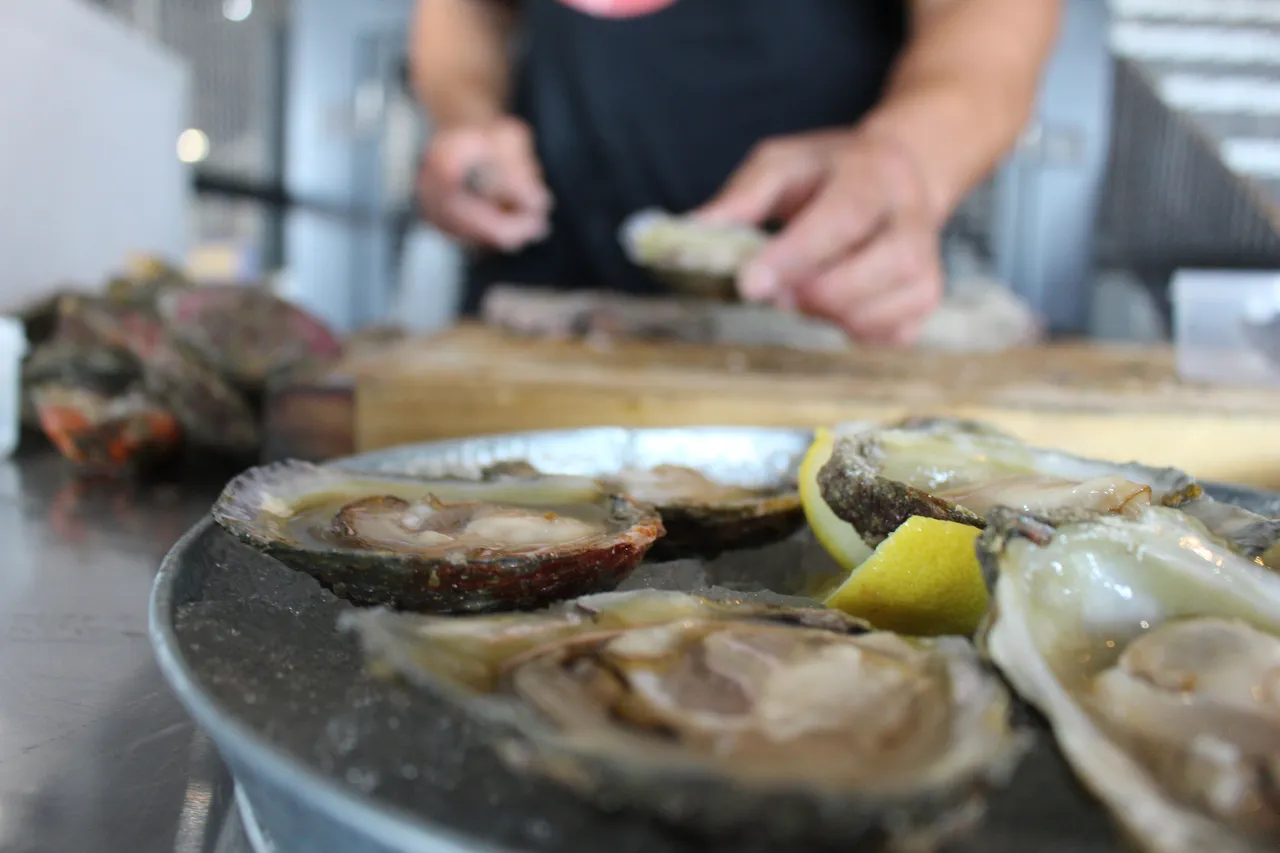 Bluff Oysters - Southland, New Zealand - Credit Great South (2)