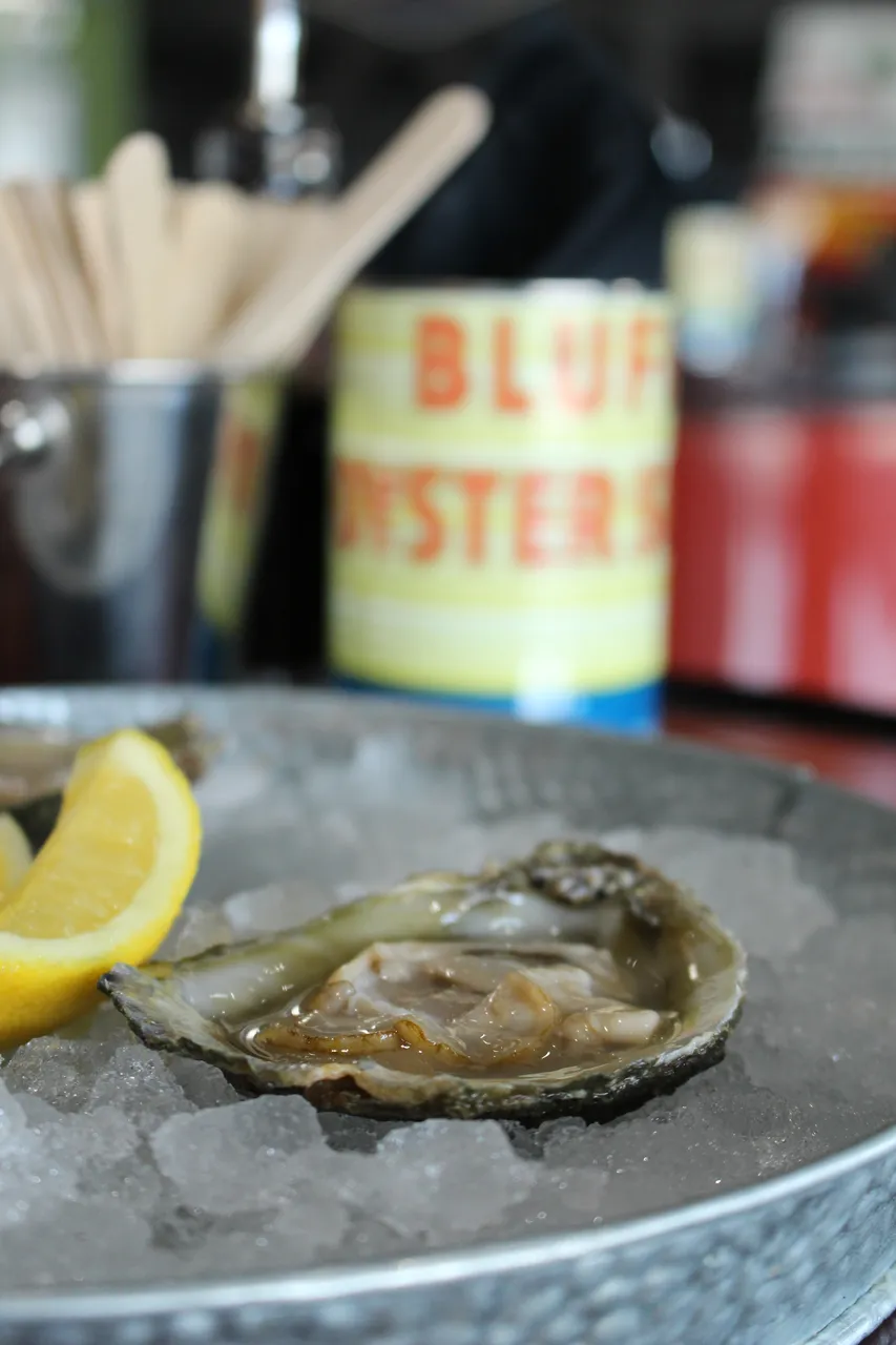 Bluff Oysters - Southland, New Zealand - Credit Great South (7)