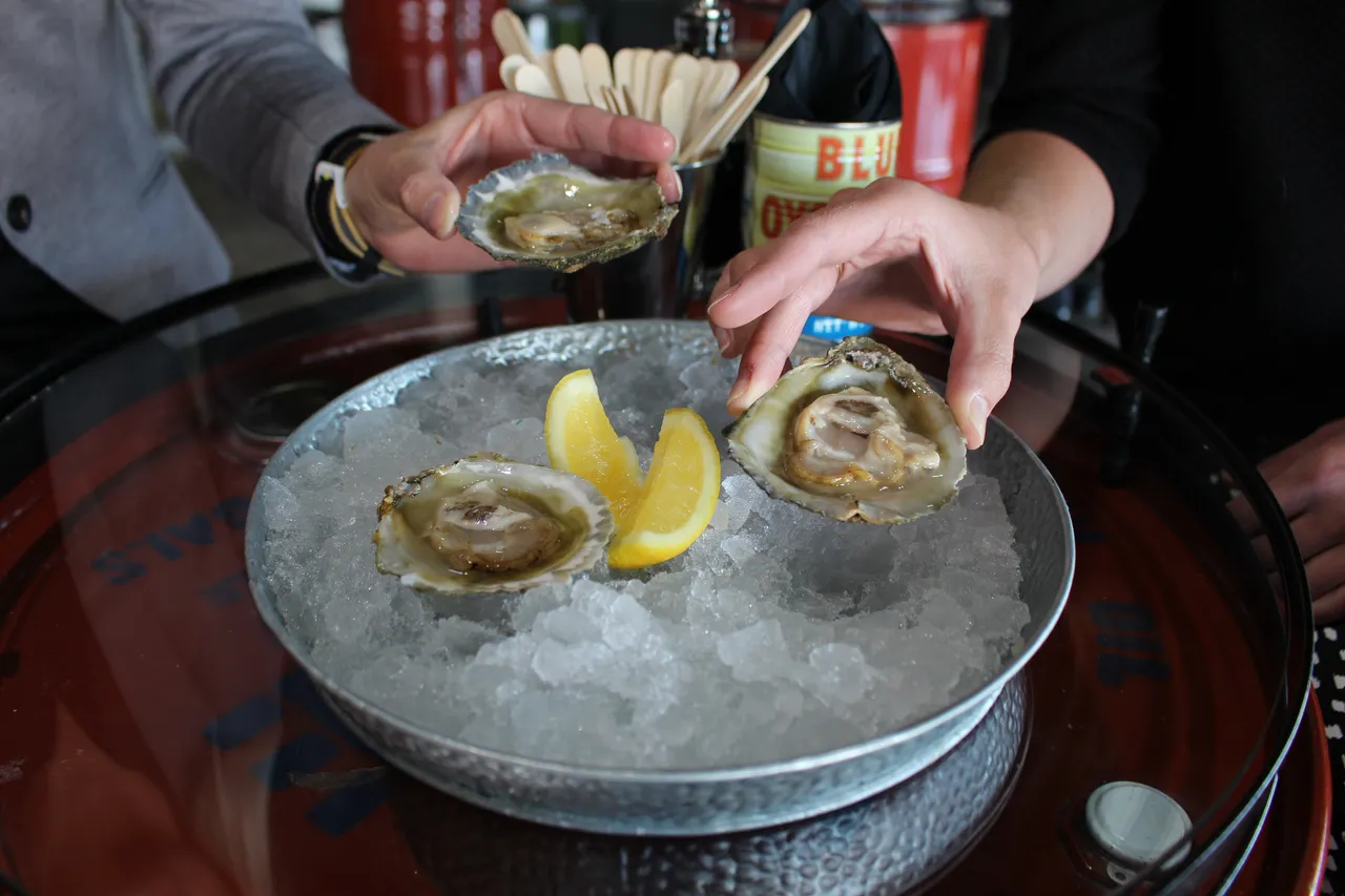Bluff Oysters - Southland, New Zealand - Credit Great South (4)