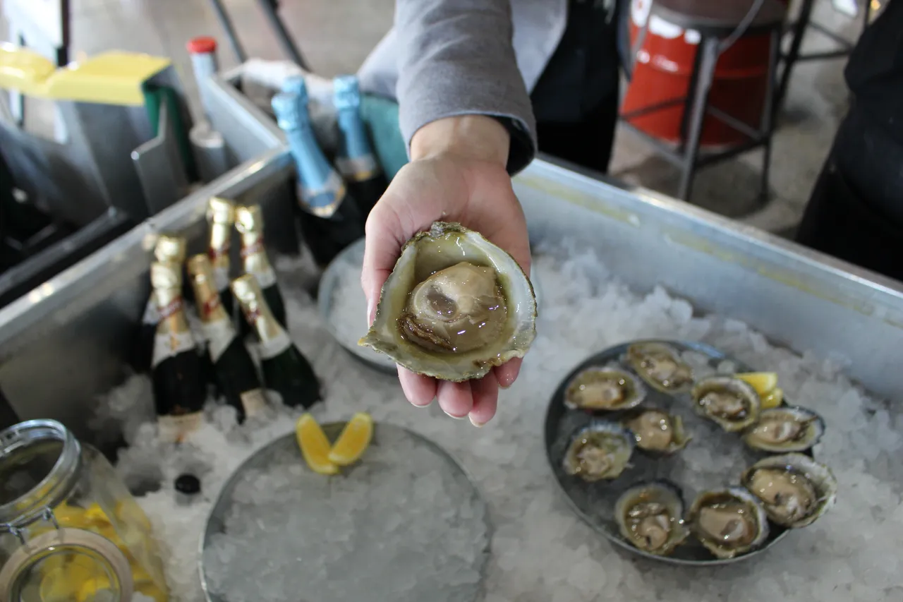 Bluff Oysters - Southland, New Zealand - Credit Great South (1)