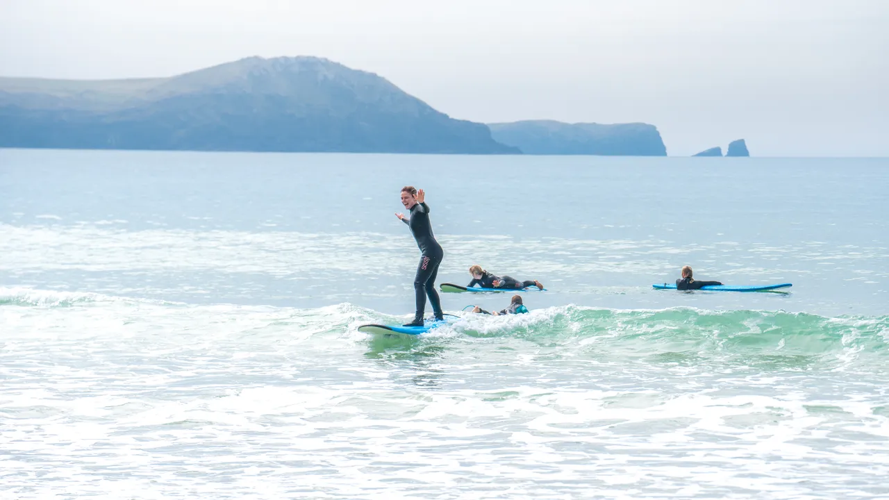 Dolphins Surfing - Southland, New Zealand - Credit Great South (2)