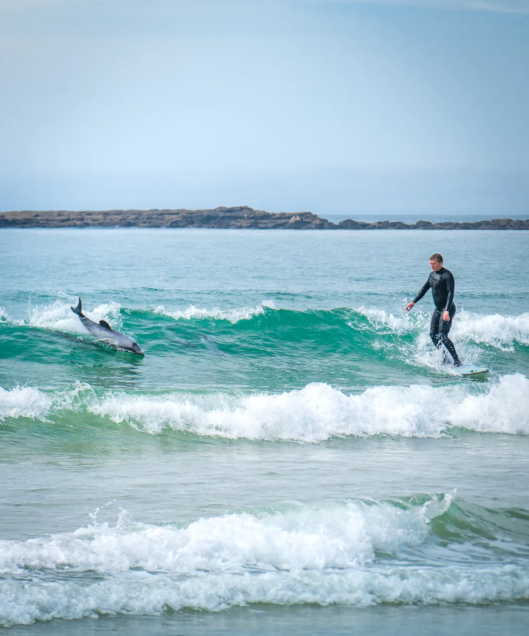 Dolphins Surfing - Southland, New Zealand - Credit Great South (5)