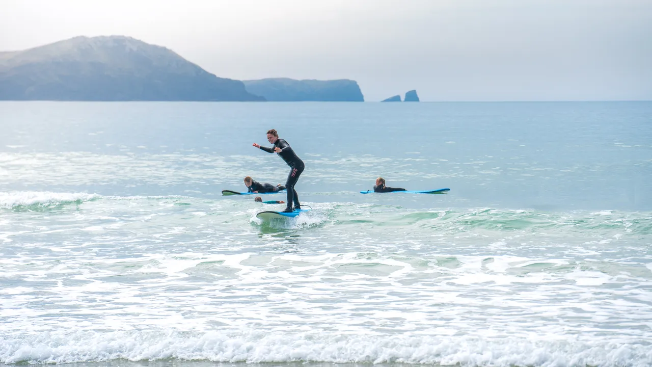Dolphins Surfing - Southland, New Zealand - Credit Great South (1)