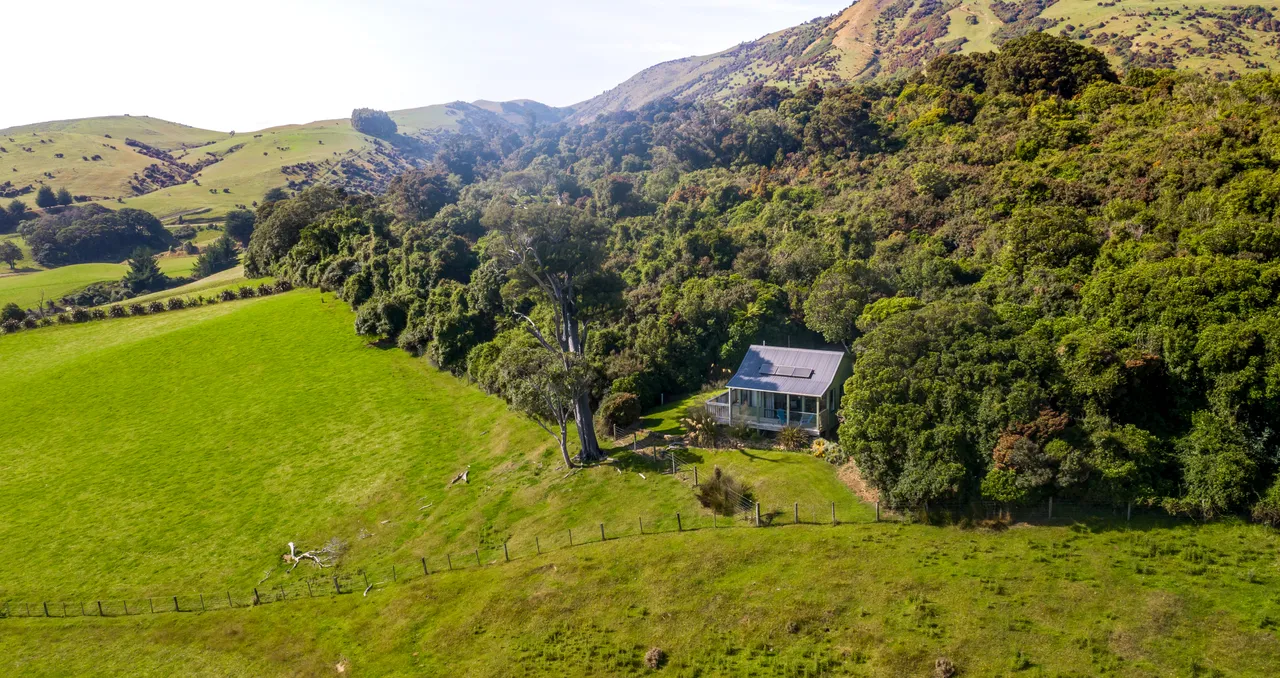Catlins Mohua Park - Southland, New Zealand - Credit Great South (7)