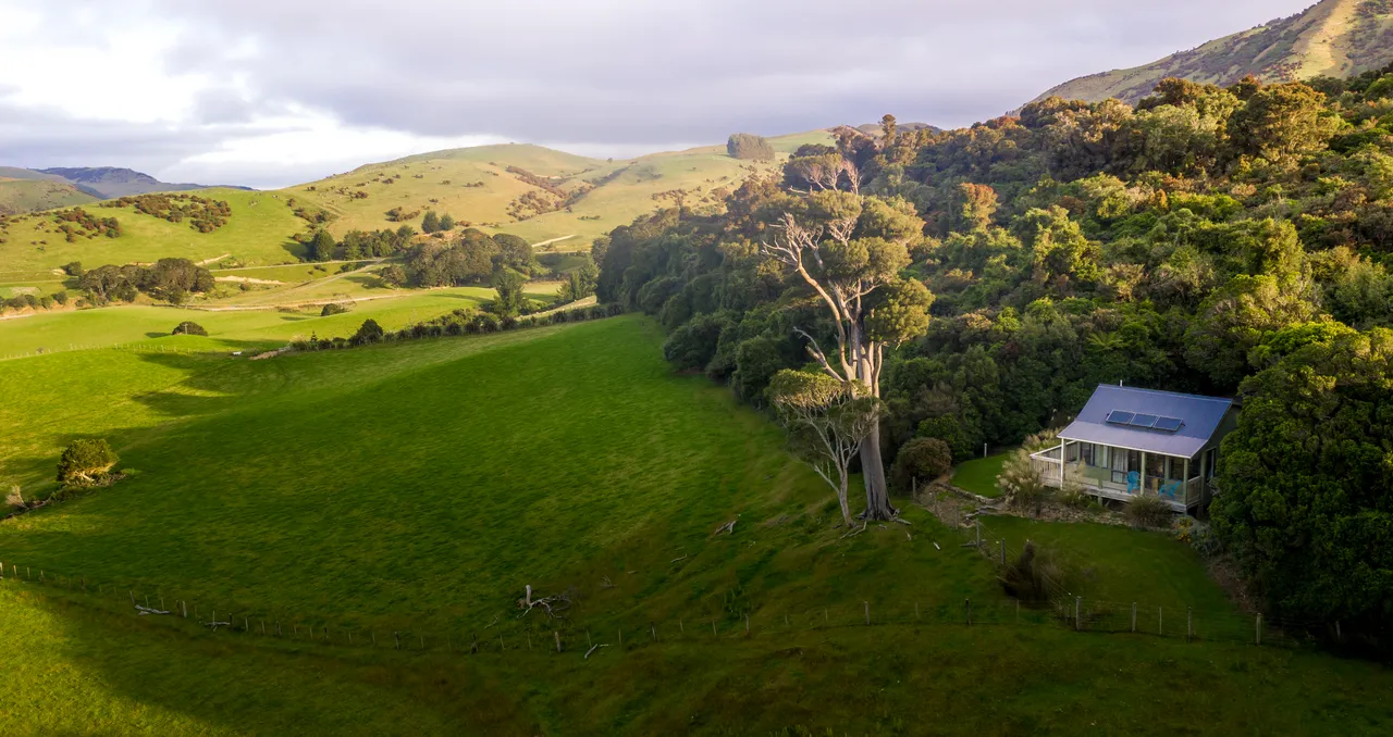 Catlins Mohua Park - Southland, New Zealand - Credit Great South (1)