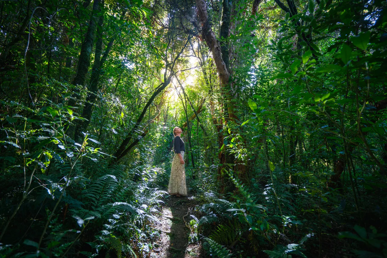 Catlins Mohua Park - Southland, New Zealand - Credit Great South (3)
