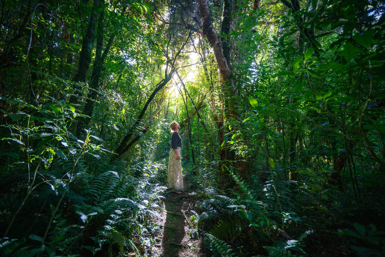 Catlins Mohua Park - Southland, New Zealand - Credit Great South (2)
