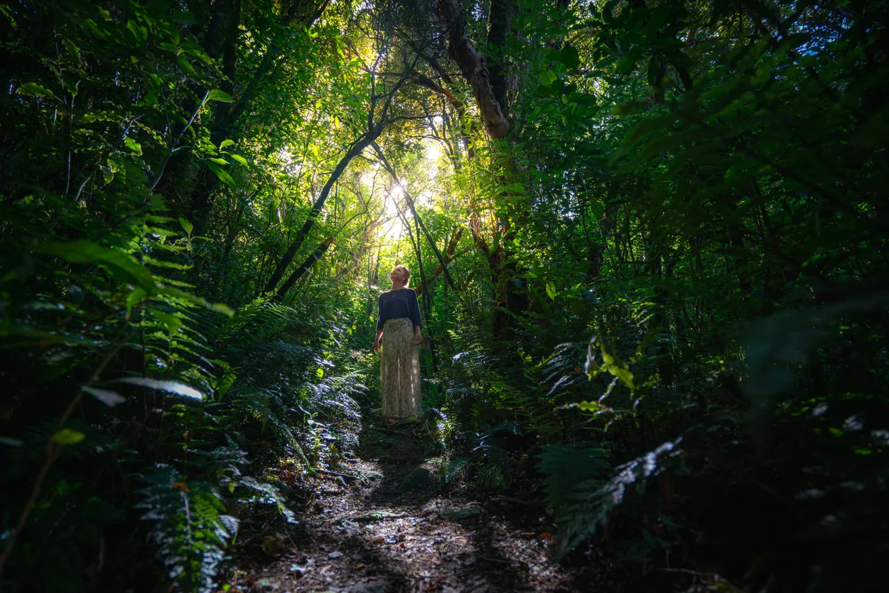 Catlins Mohua Park - Southland, New Zealand - Credit Great South (6)