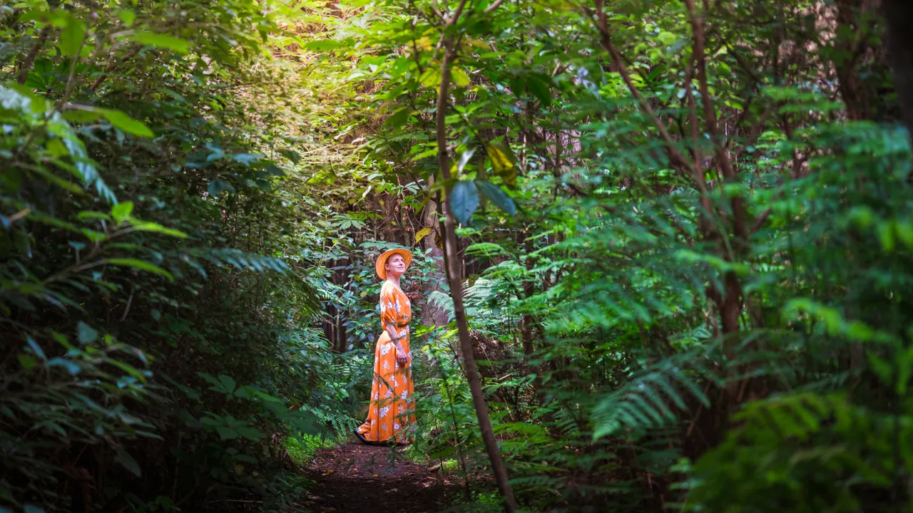 Bush Walk - Southland, New Zealand - Credit Great South (1)