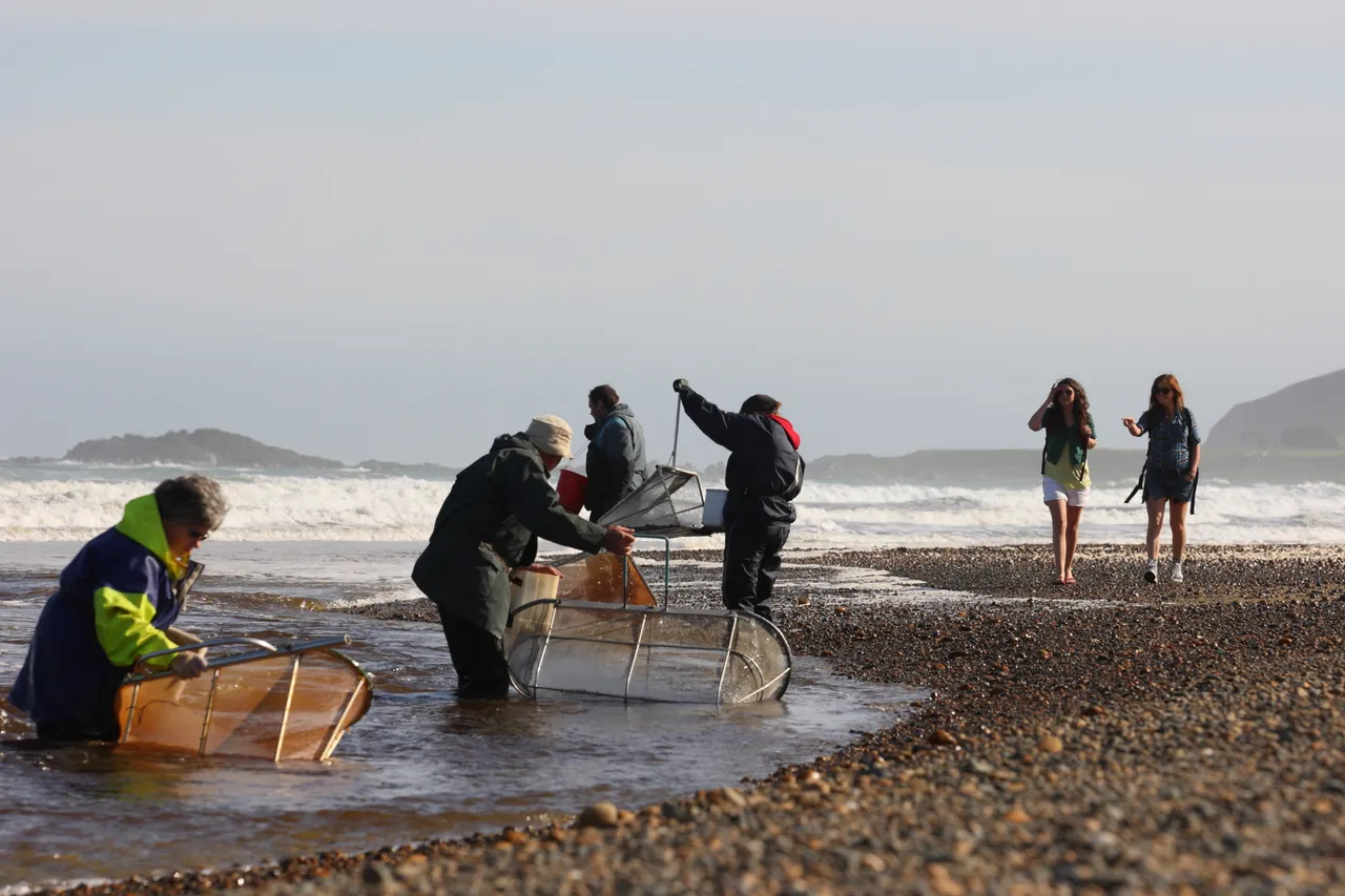 Western Southland - Southland, New Zealand - Credit Jeremy Pierce (5)
