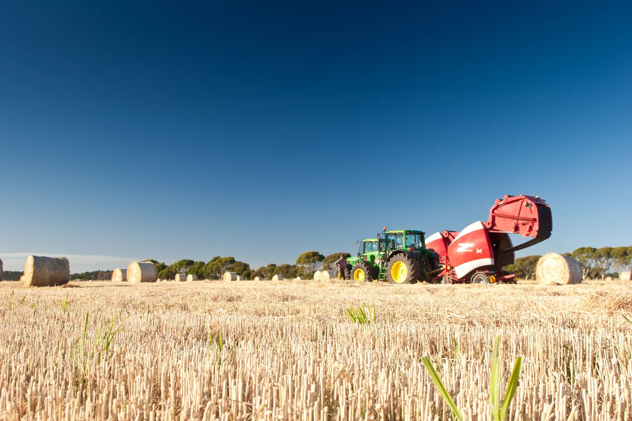 Hay Making - Southland, New Zealand - Credit Jeremy Pierce (2)