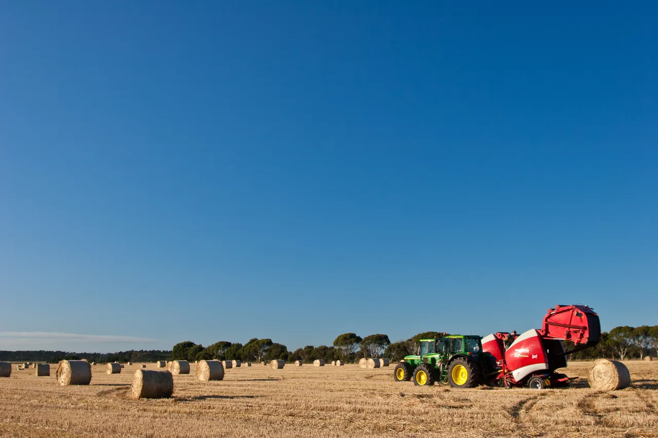 Hay Making - Southland, New Zealand - Credit Jeremy Pierce (1)
