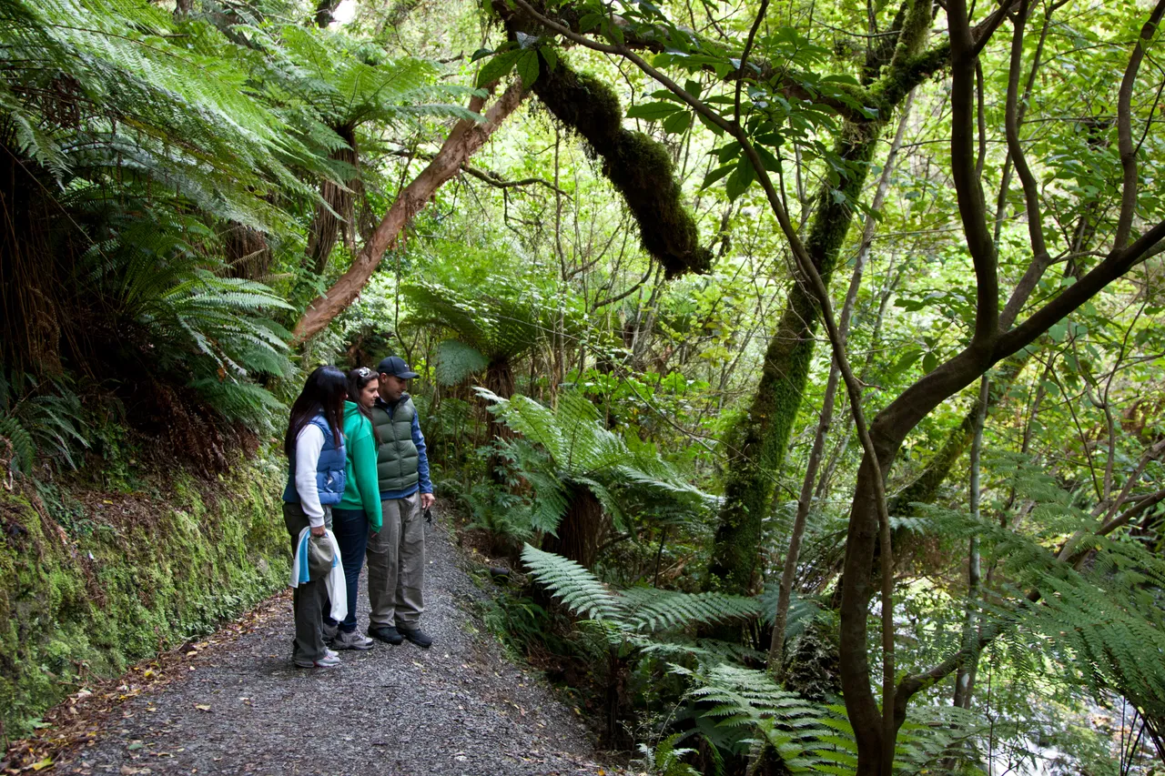 McLean Falls - Southland, New Zealand - Credit Jeremy Pierce (1)