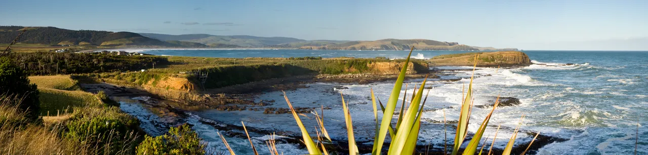 Curio Bay - Southland, New Zealand - Credit Jeremy Pierce (9)