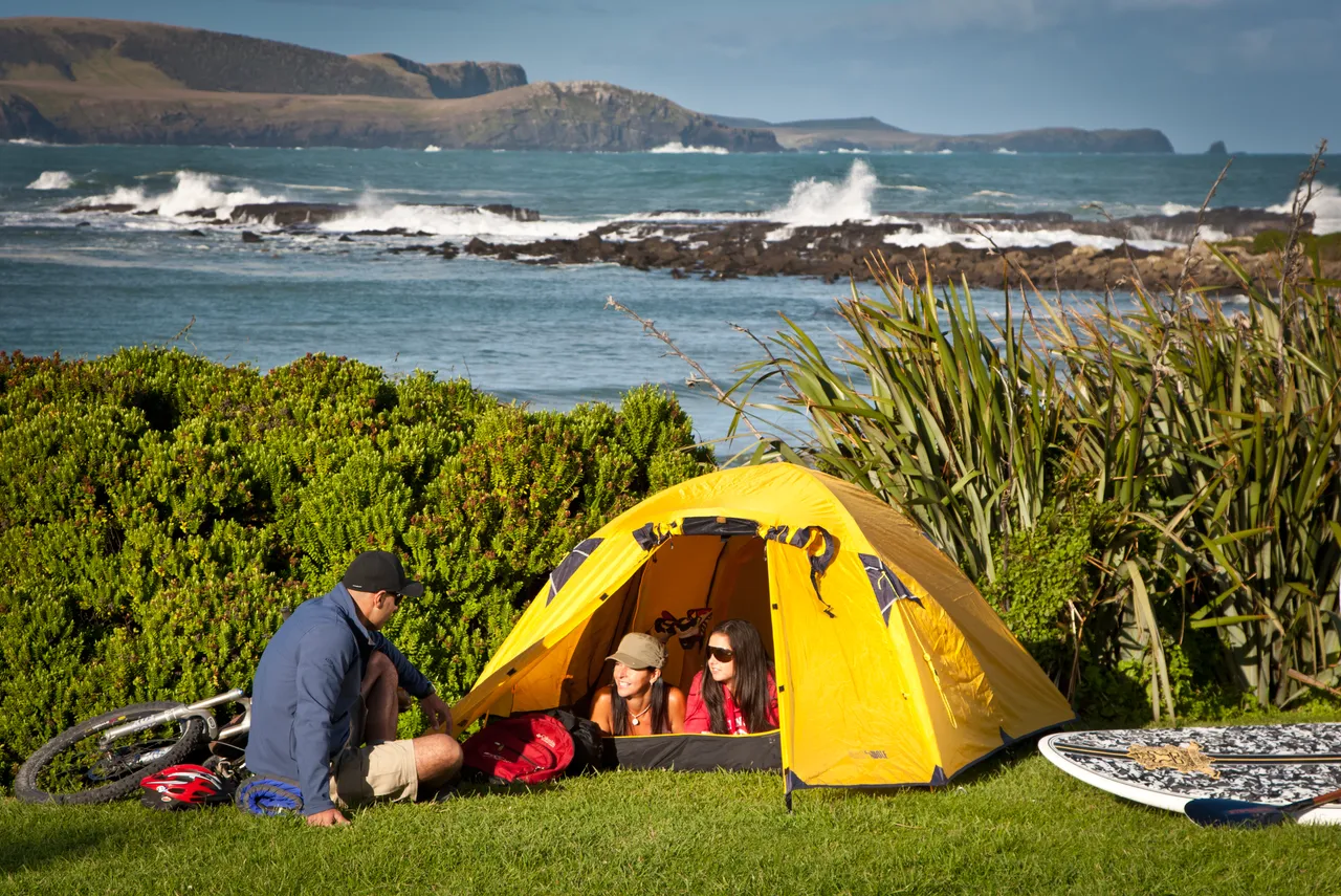 Curio Bay - Southland, New Zealand - Credit Jeremy Pierce (7)