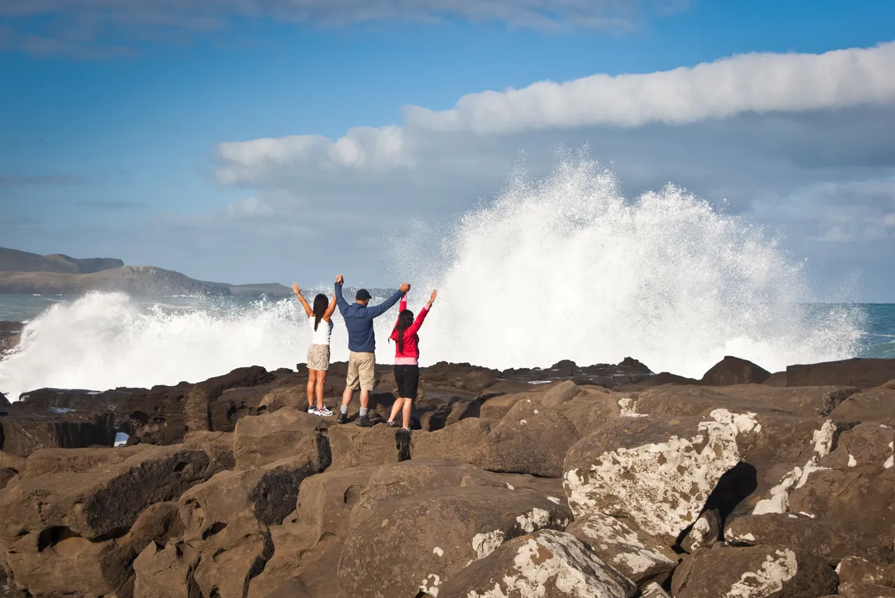 Curio Bay - Southland, New Zealand - Credit Jeremy Pierce (5)