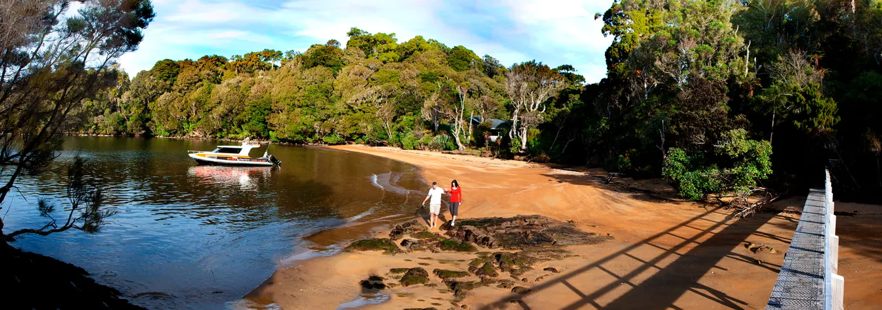 Stewart Island - Southland, New Zealand - Credit Jeremy Pierce (30)