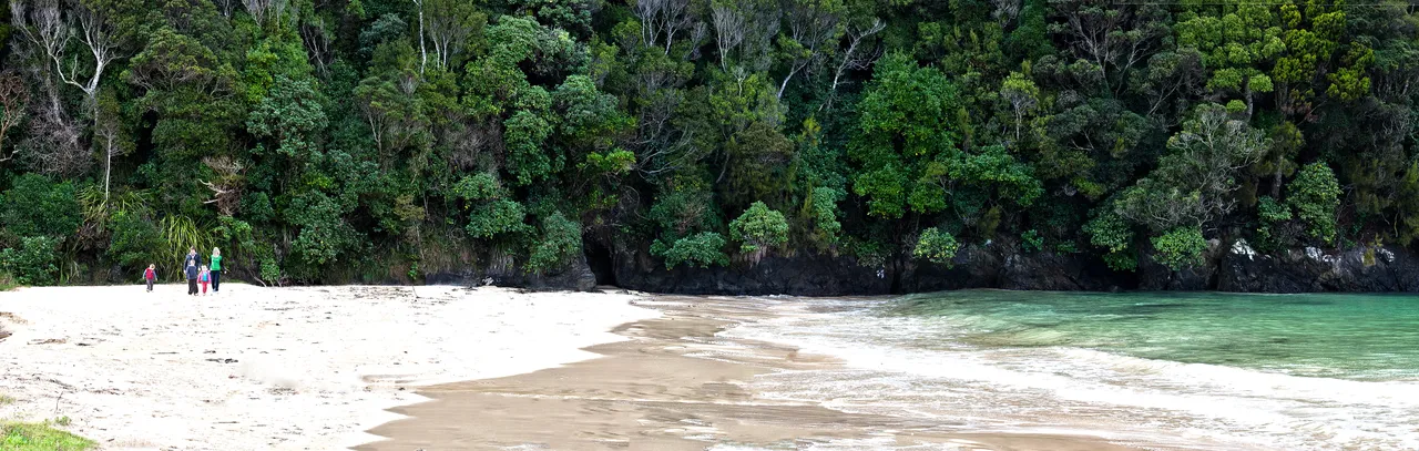 Stewart Island - Southland, New Zealand - Credit Jeremy Pierce (22)