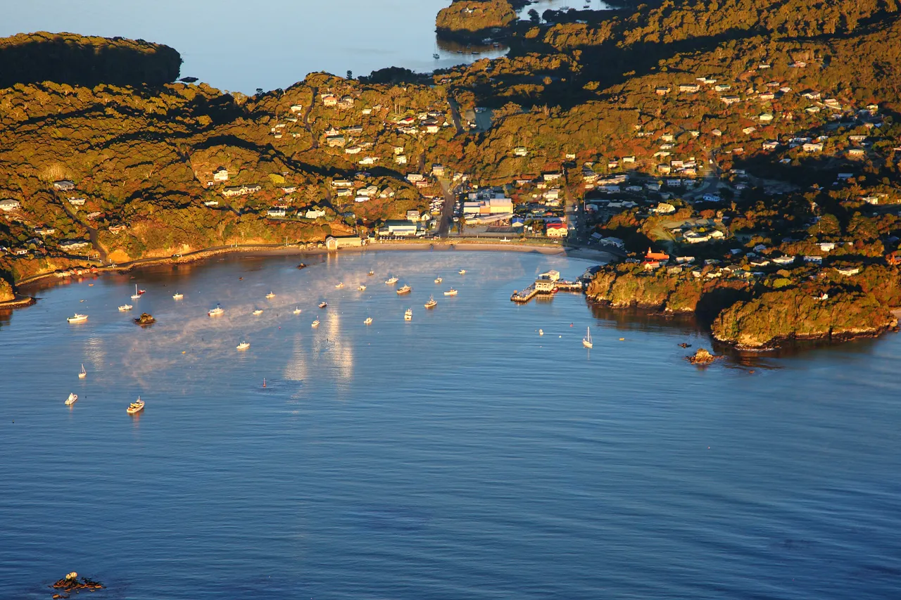 Stewart Island - Southland, New Zealand - Credit Jeremy Pierce (6)