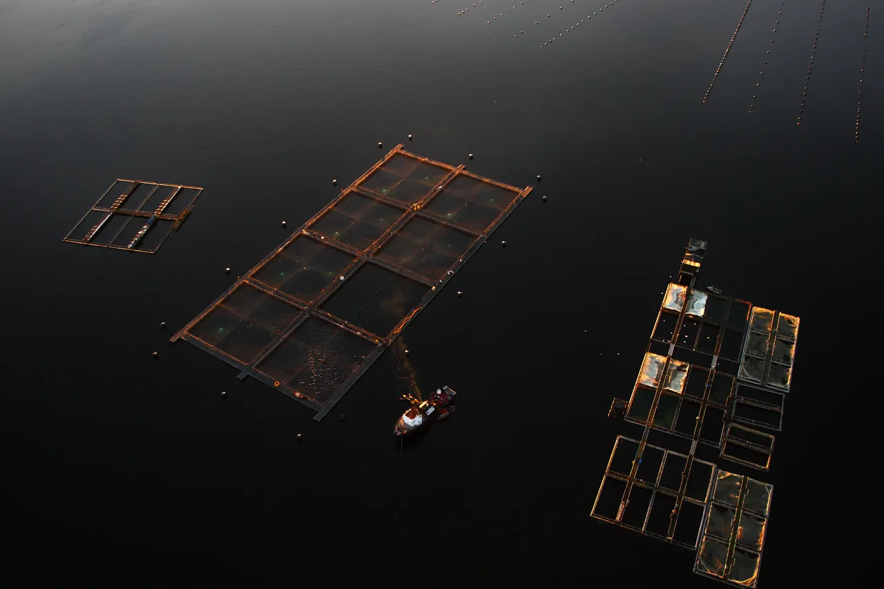 Salmon & Mussel Farm - Southland, New Zealand - Credit Jeremy Pierce (1)