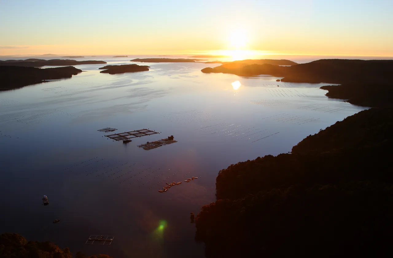 Salmon & Mussel Farm - Southland, New Zealand - Credit Jeremy Pierce (2)