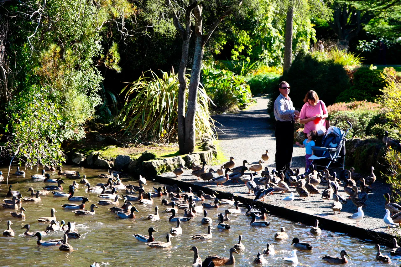 Queens Park - Southland, New Zealand - Credit Jeremy Pierce (17)